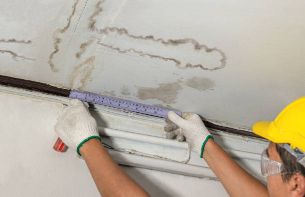 Reliable Burst Pipe Cleanup contractor in Dalbo, MN by Water Damage Irwin